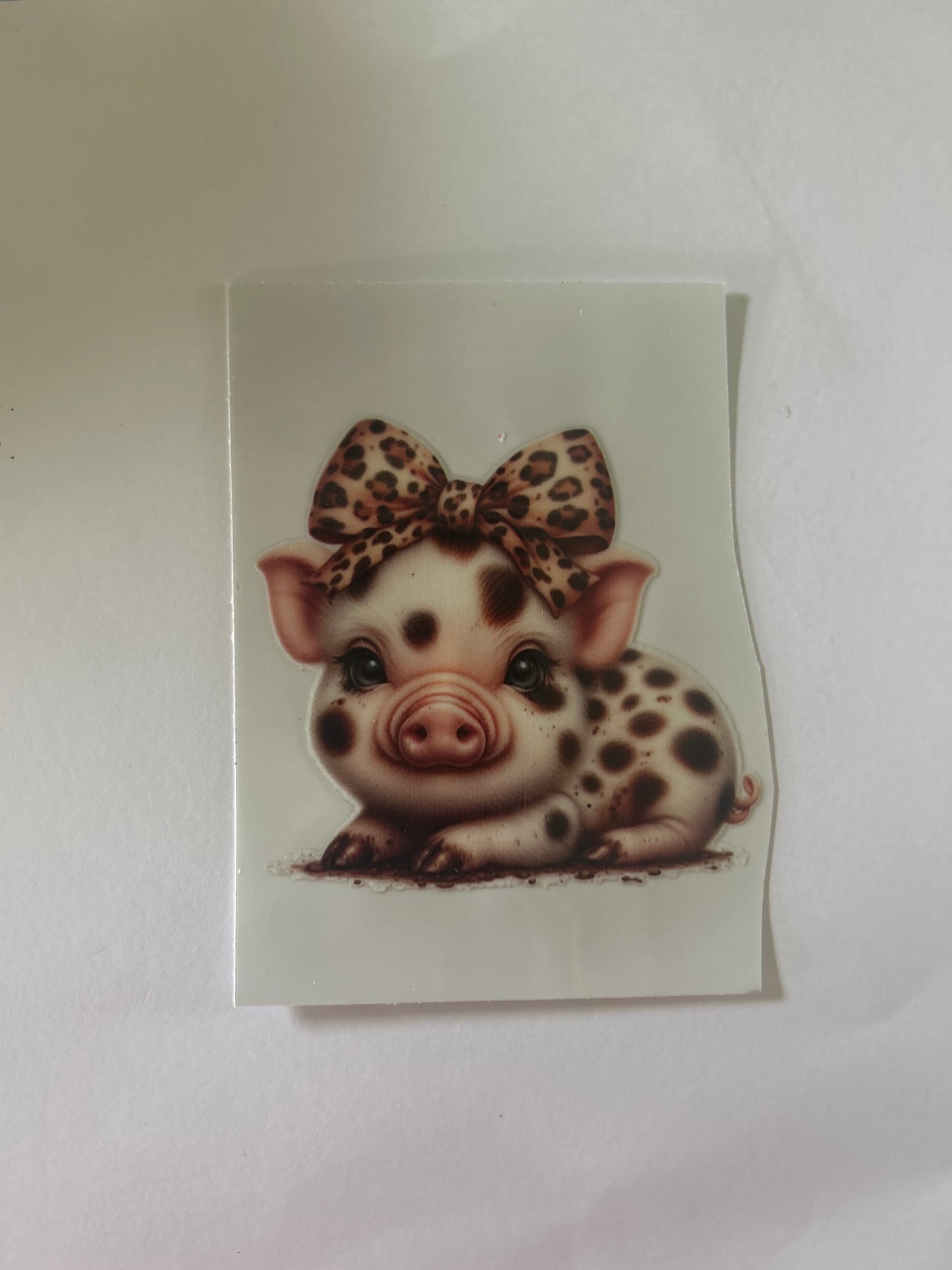 Pig 1