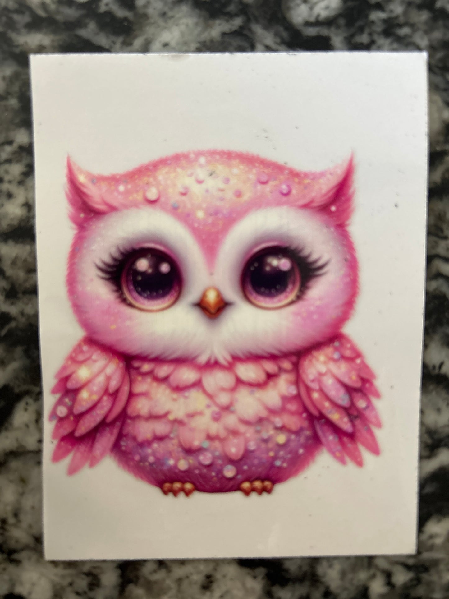 Owl 1