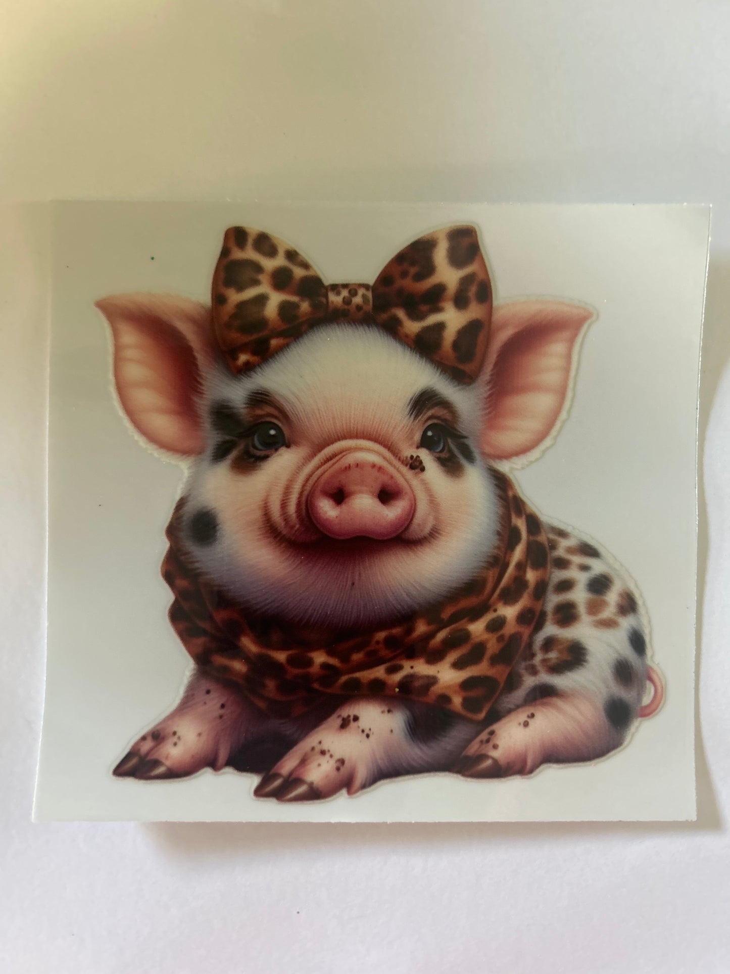 Pig 12