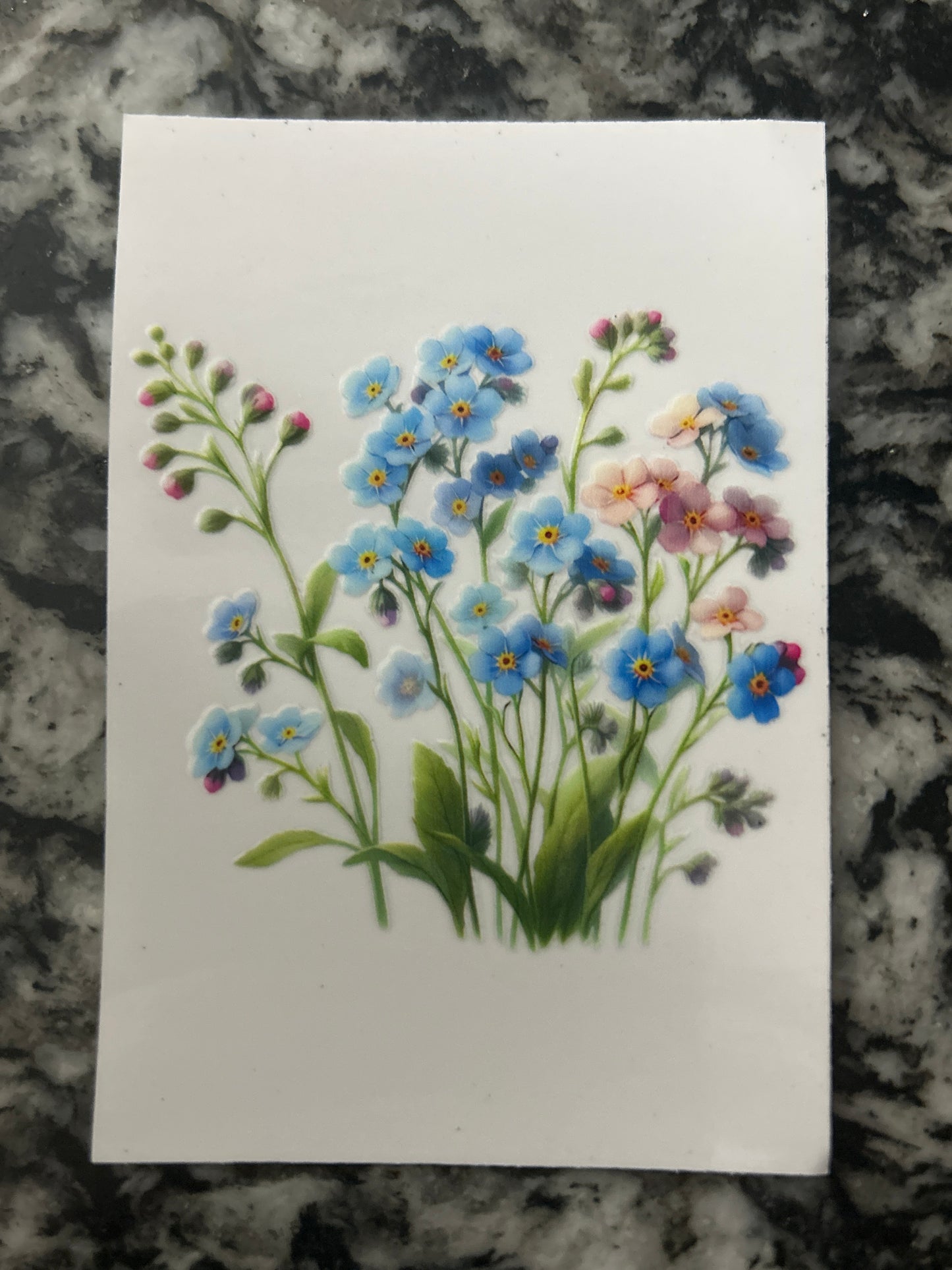 Flowers 12
