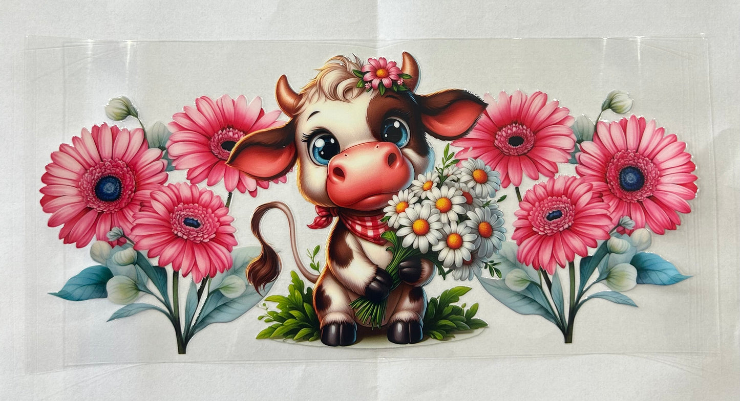 471 Cows wrap