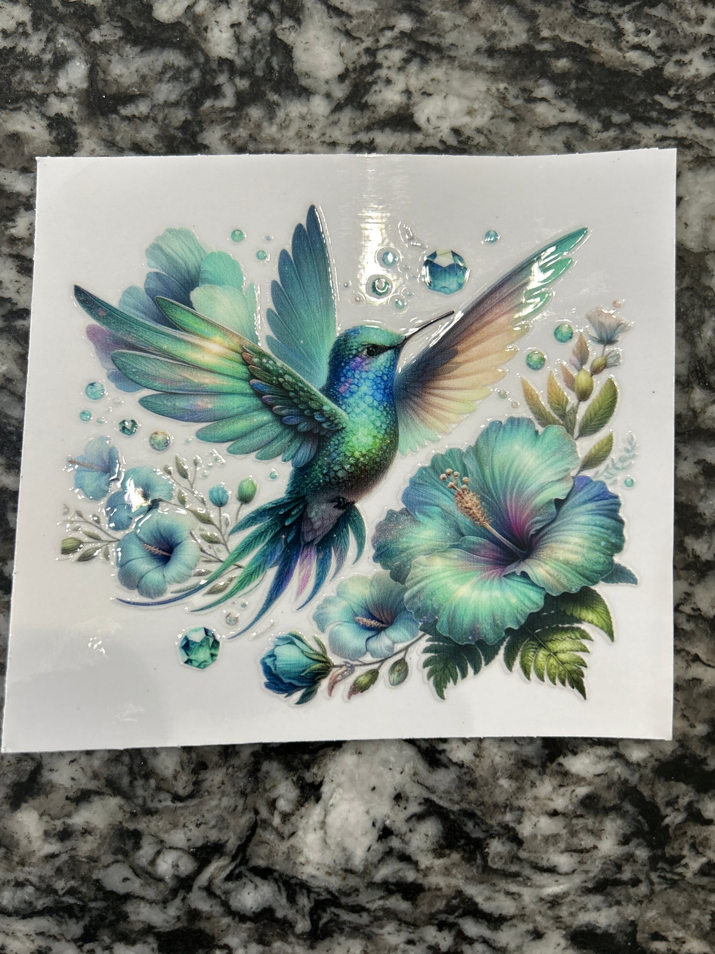 Hummingbird 12