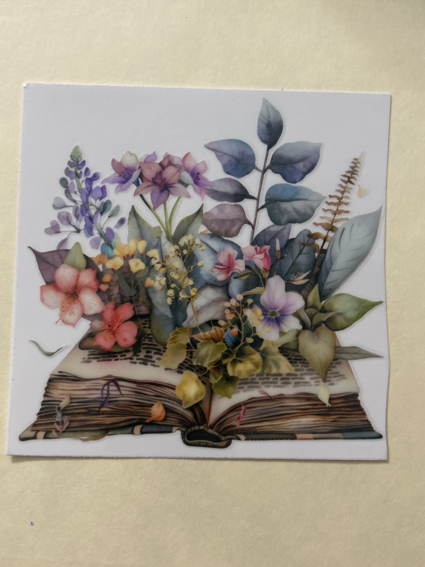 Books 5
