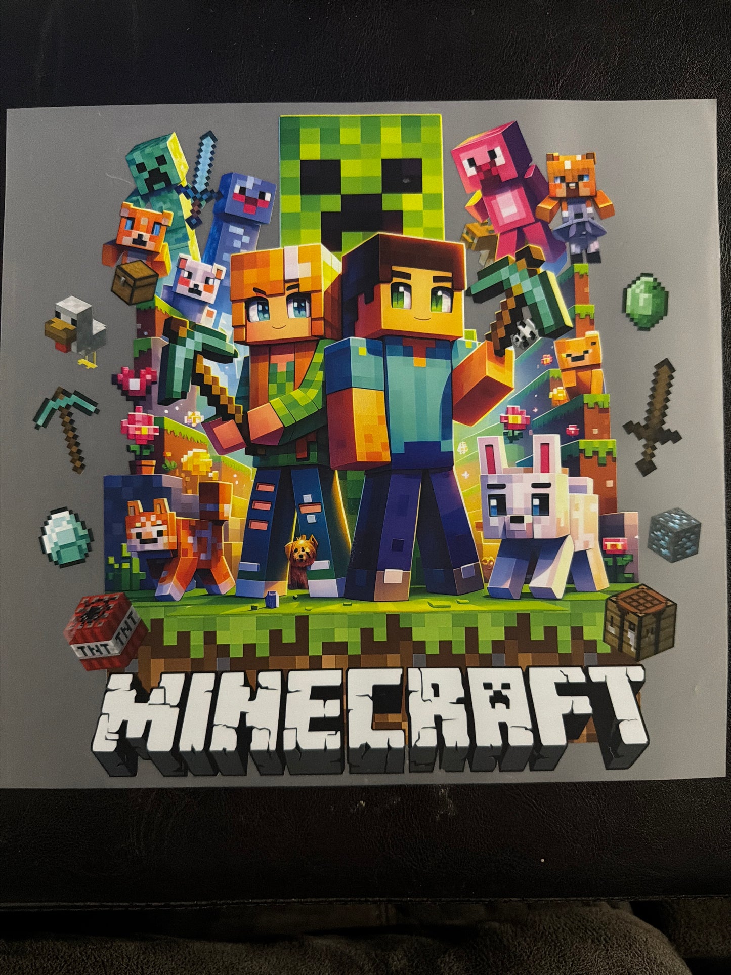 *Minecraft* Transfer