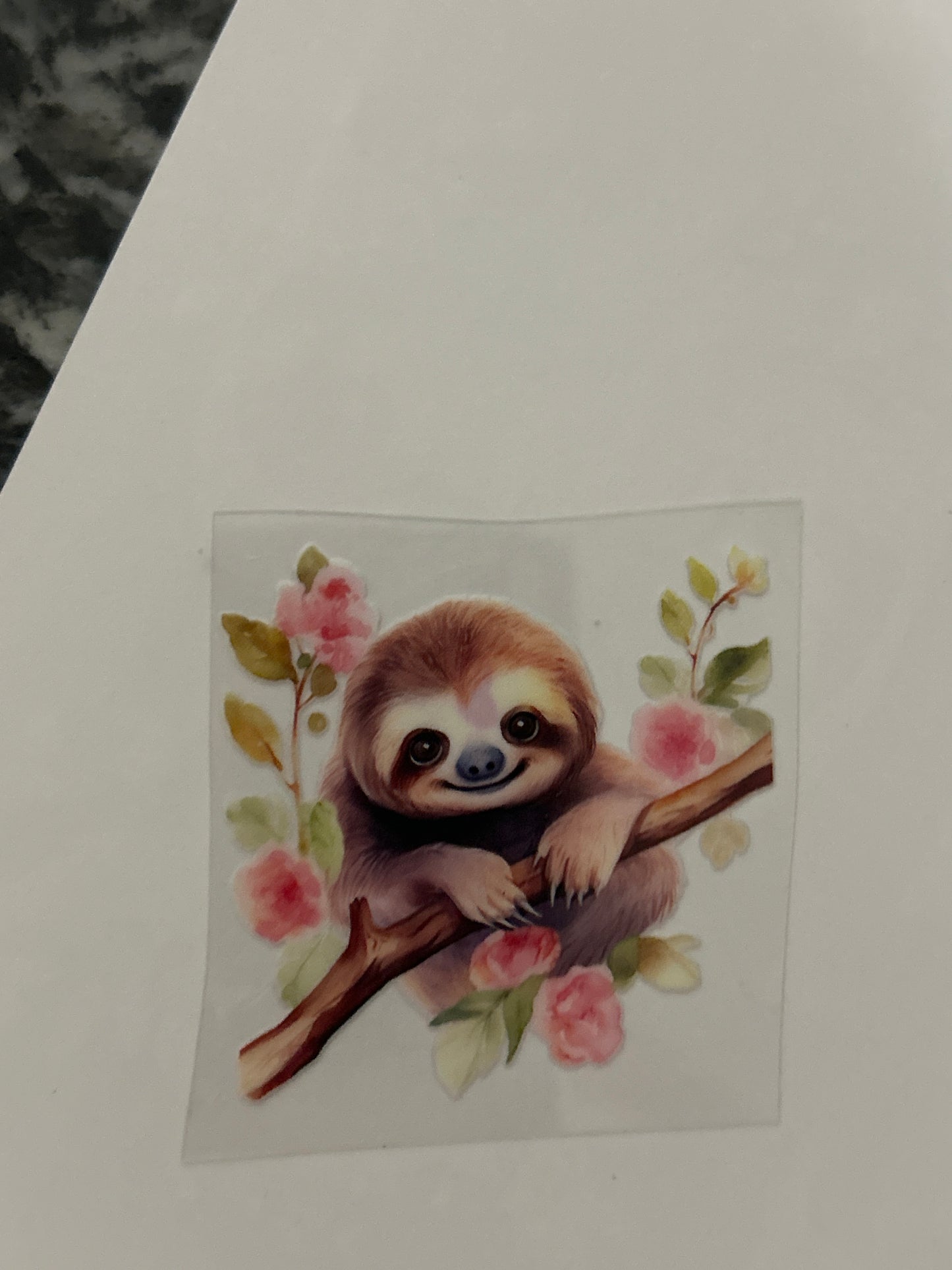 Sloth 8