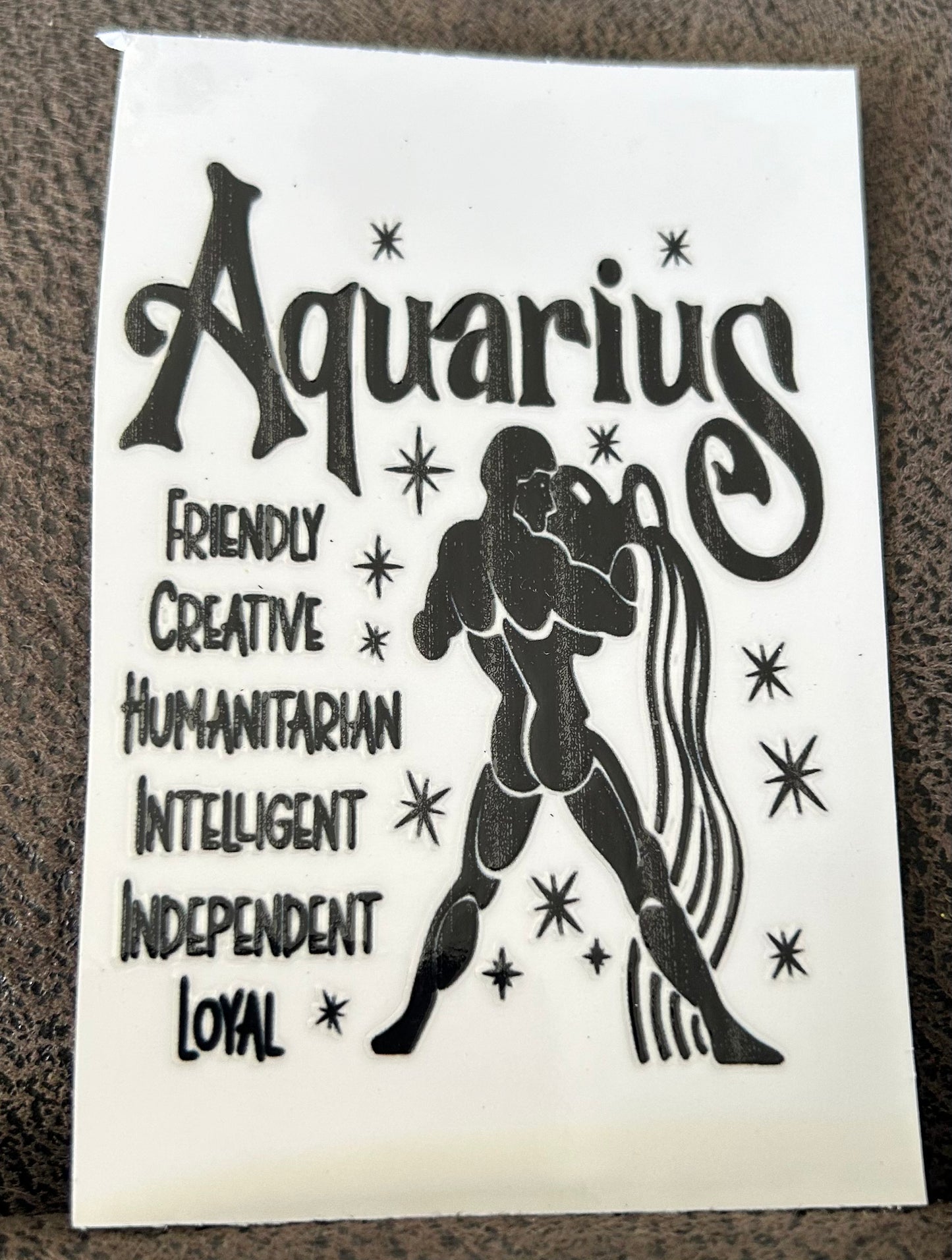 Zodiac 31