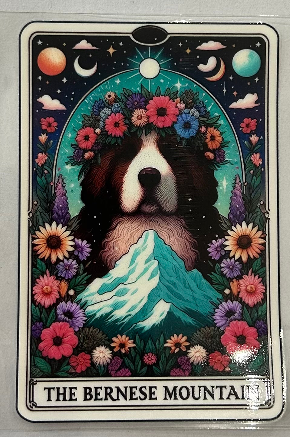 713 Dog Bernese Mountain wrap