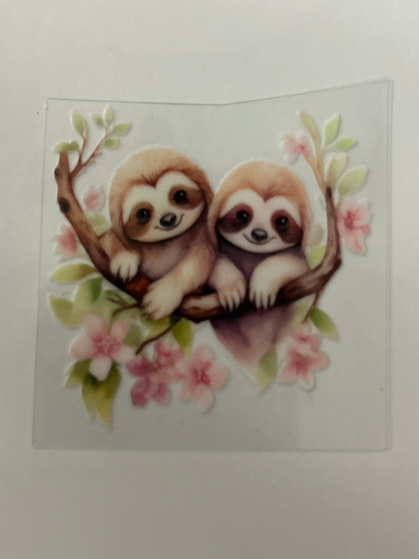 Sloth 1