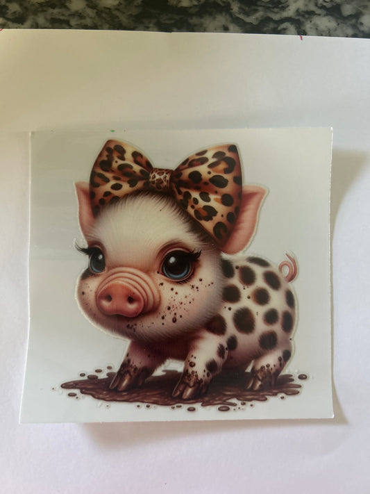 Pig 7