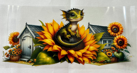538 Sunflower, dragon wrap