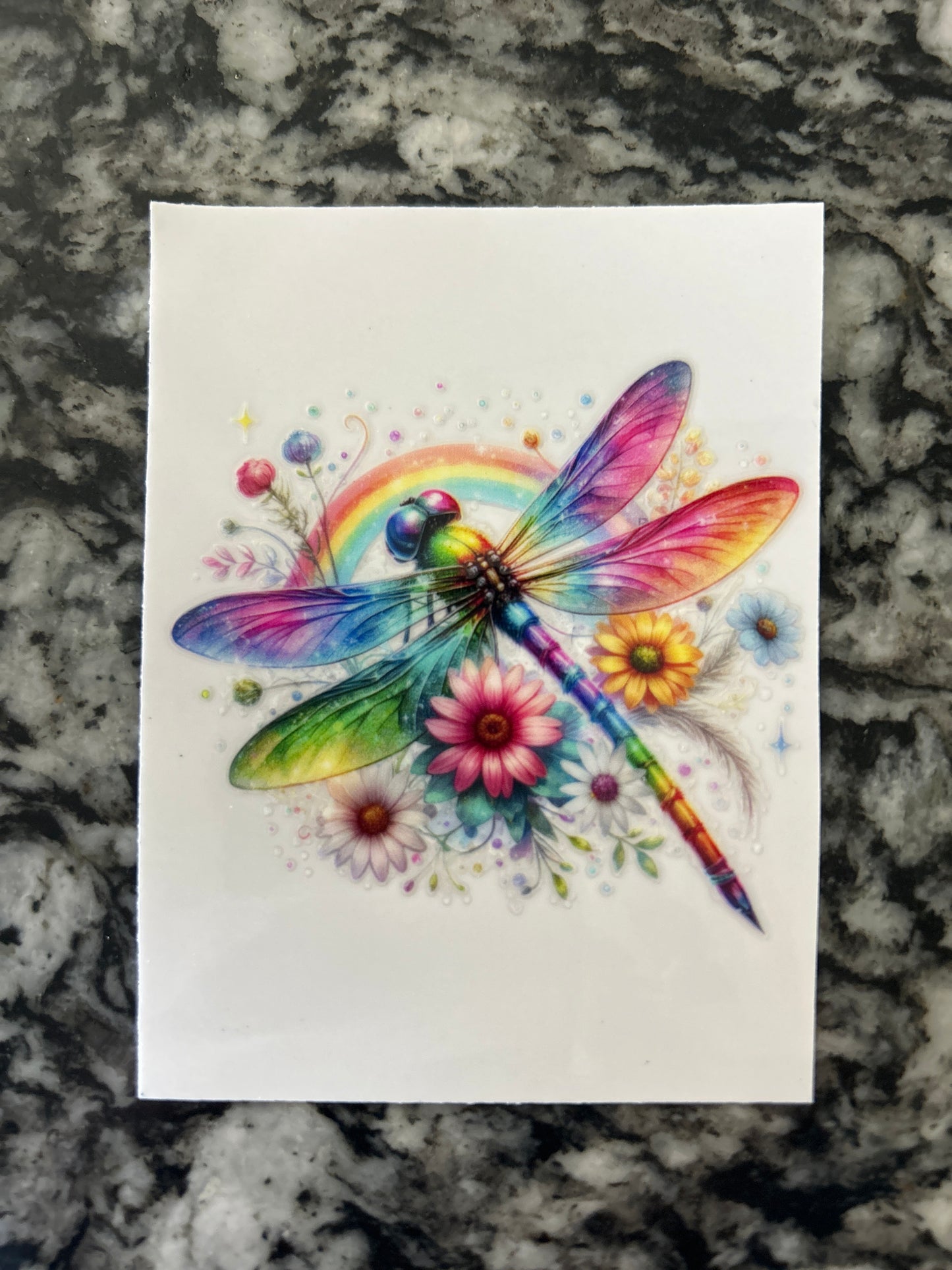 Dragonfly 3