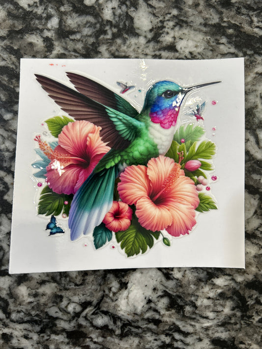 Hummingbird 11