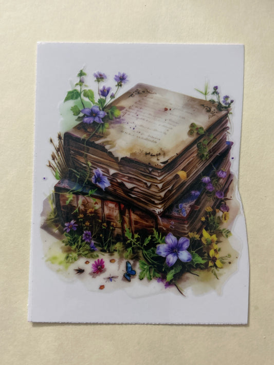 Books 6