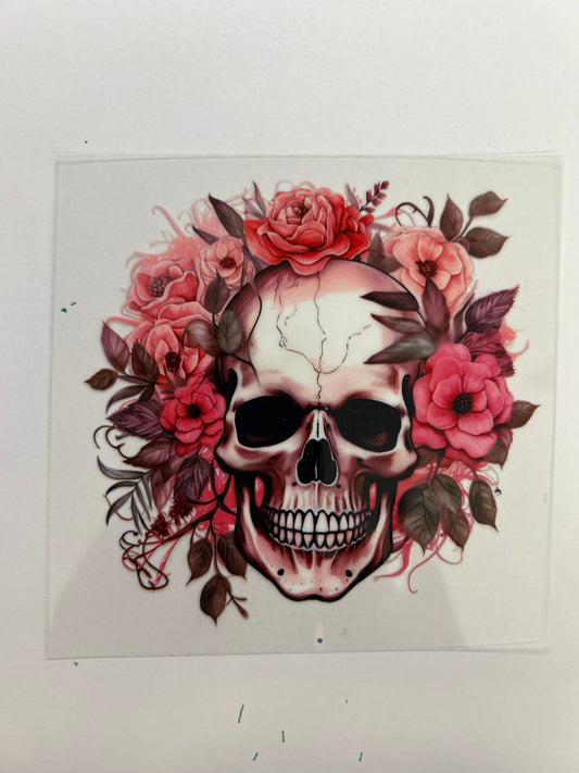 Skull 3
