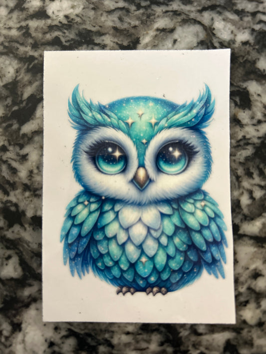Owl 10