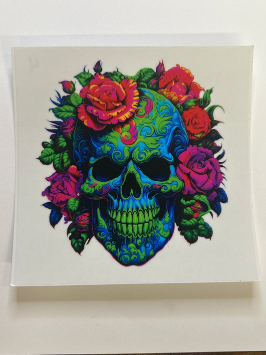 Skull 4