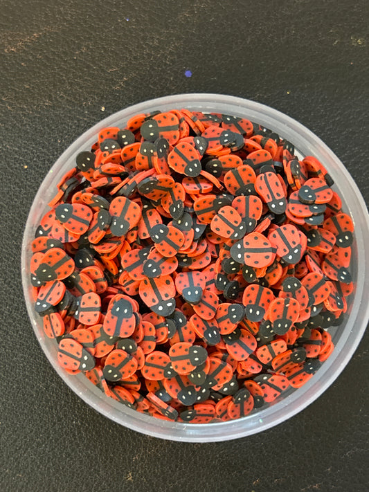 Ladybug 93
