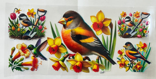 457 Birds wrap