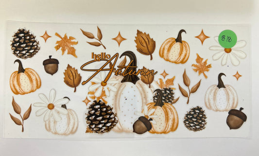 818 Fall wrap