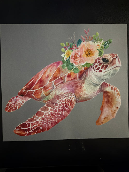*Turtle* Transfer