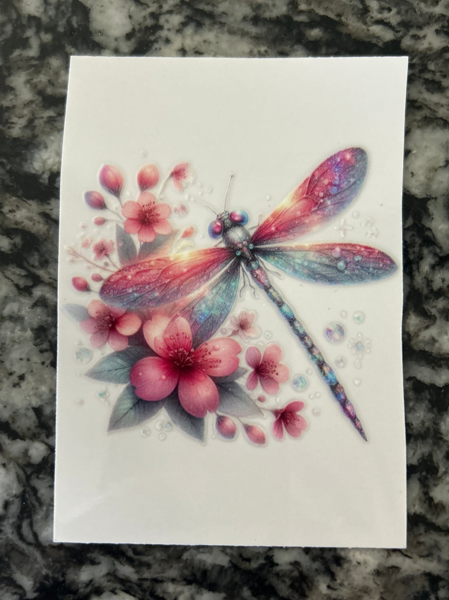 Dragonfly 5