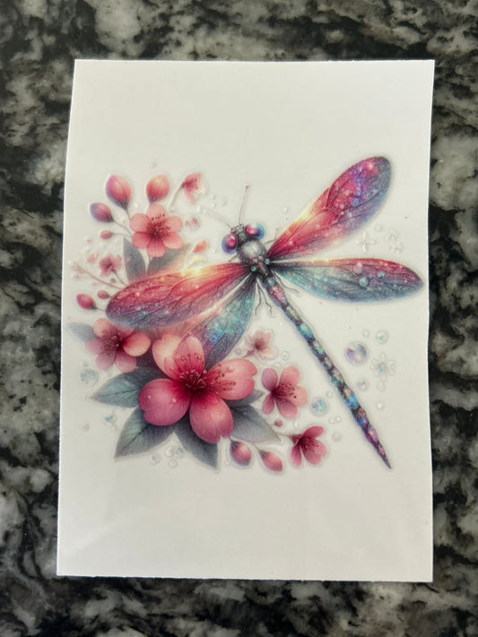 Dragonfly 5