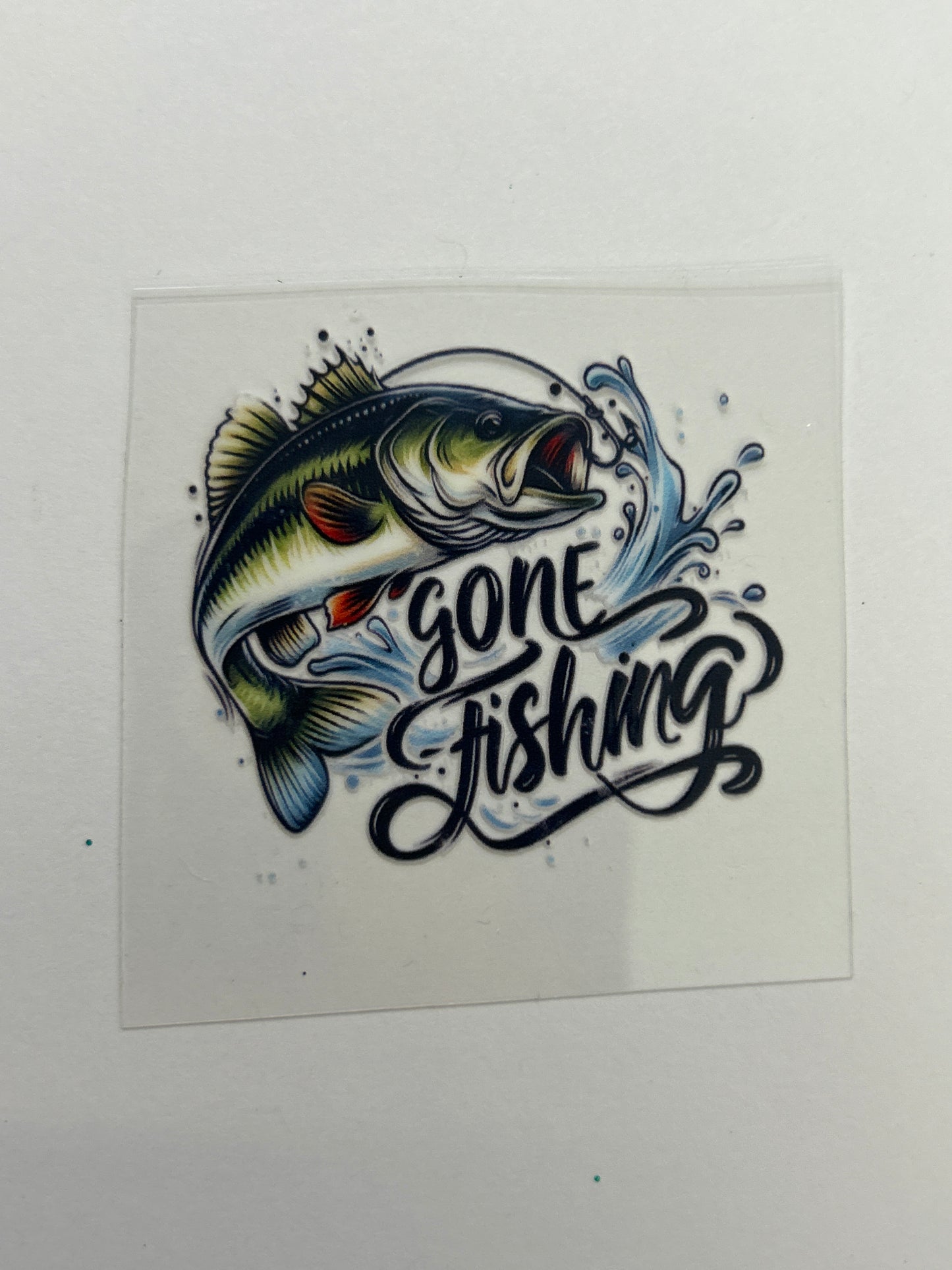 Fishing 6