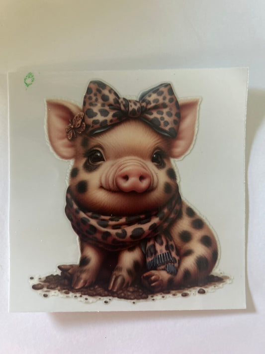 Pig 10