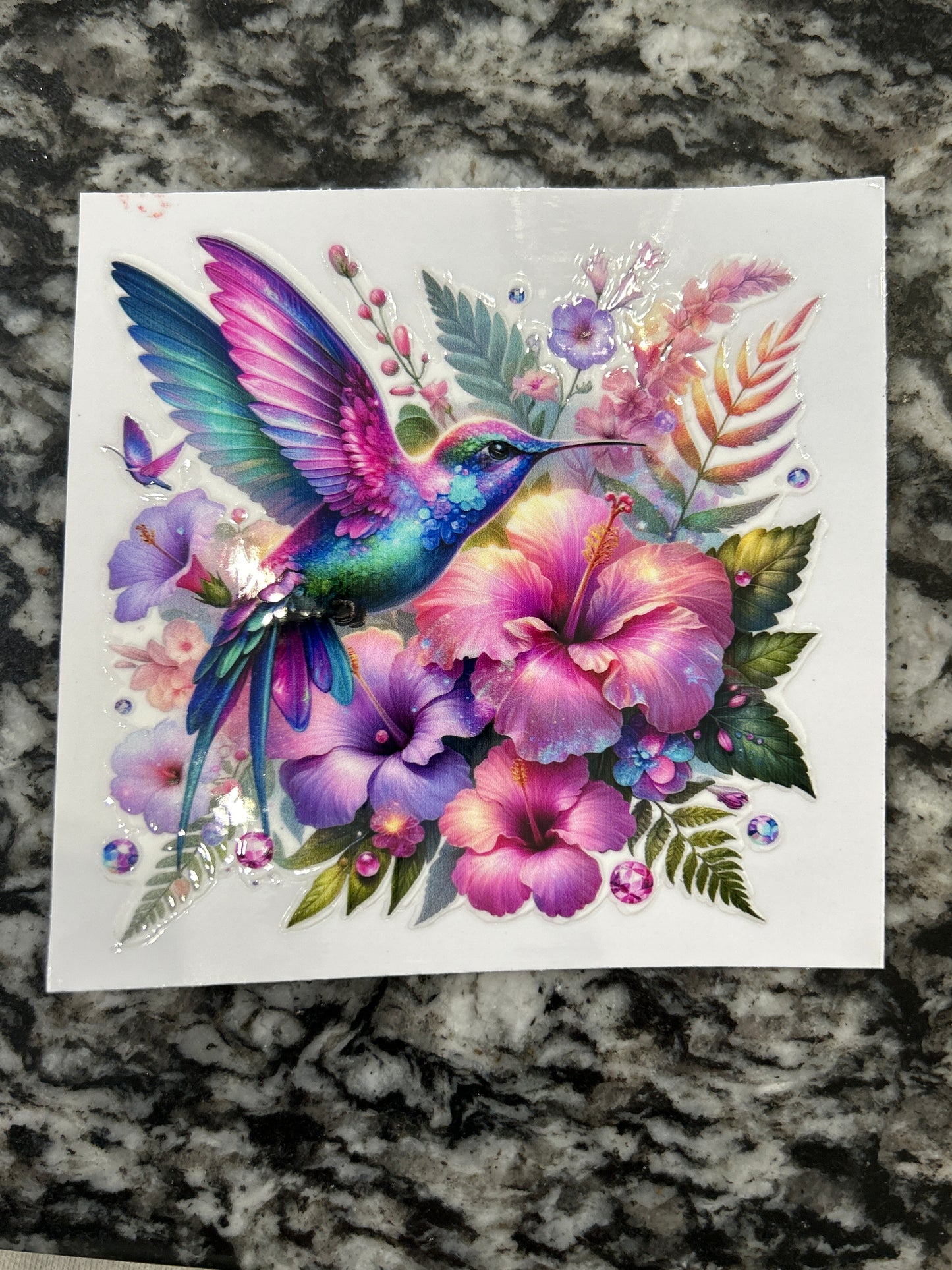 Hummingbird 10