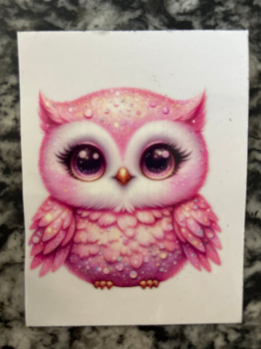 Owl 1