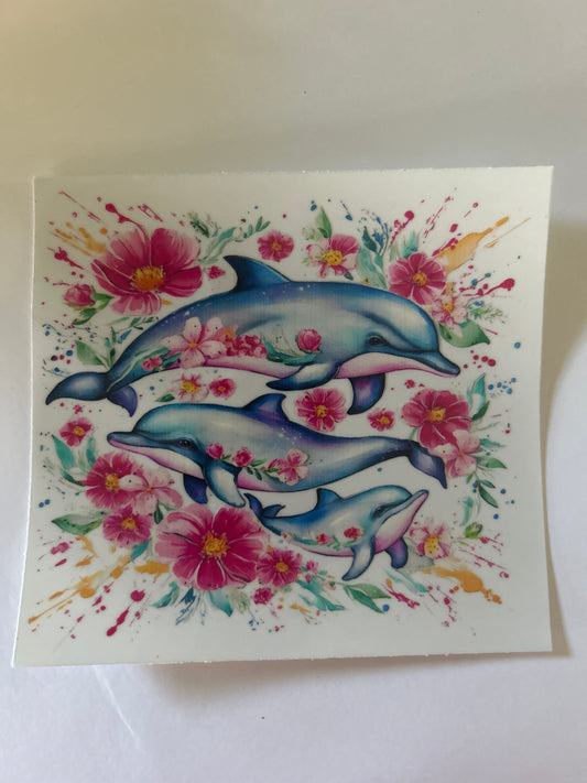 Dolphin 3