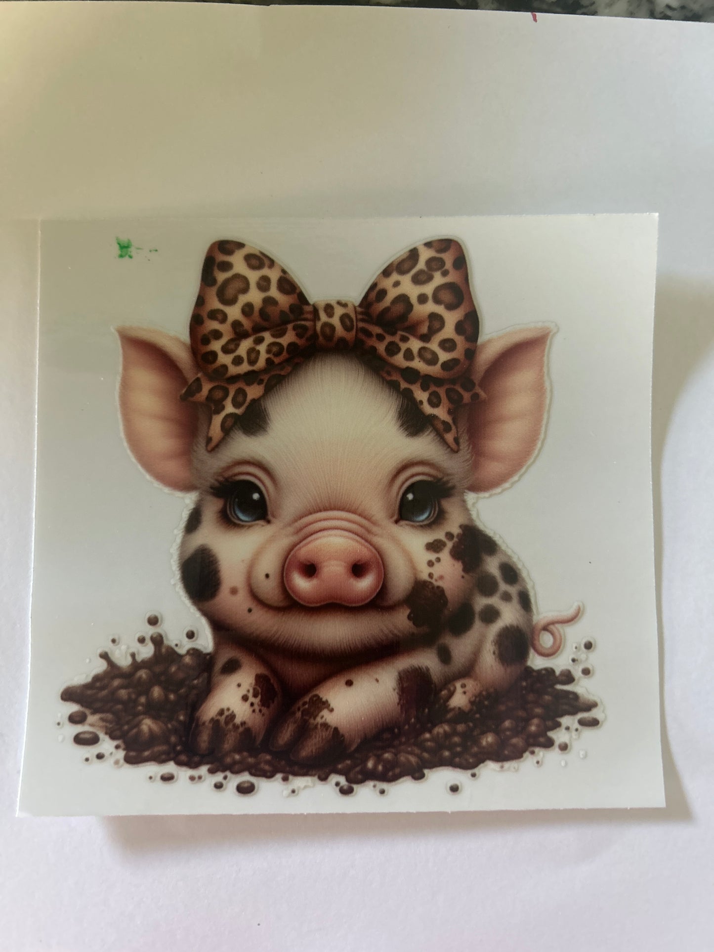Pig 11