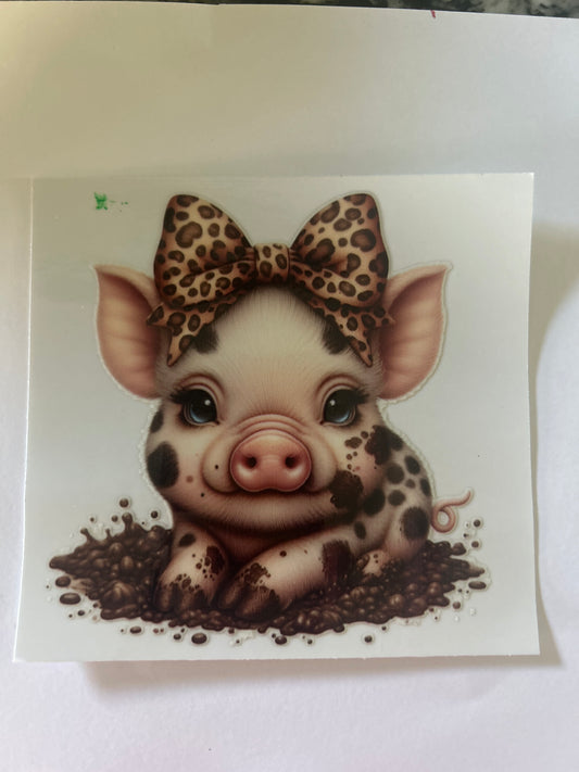 Pig 11