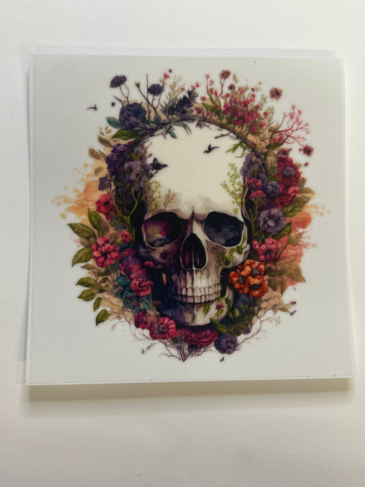Skull 6