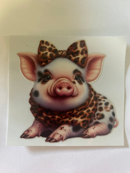 Pig 12