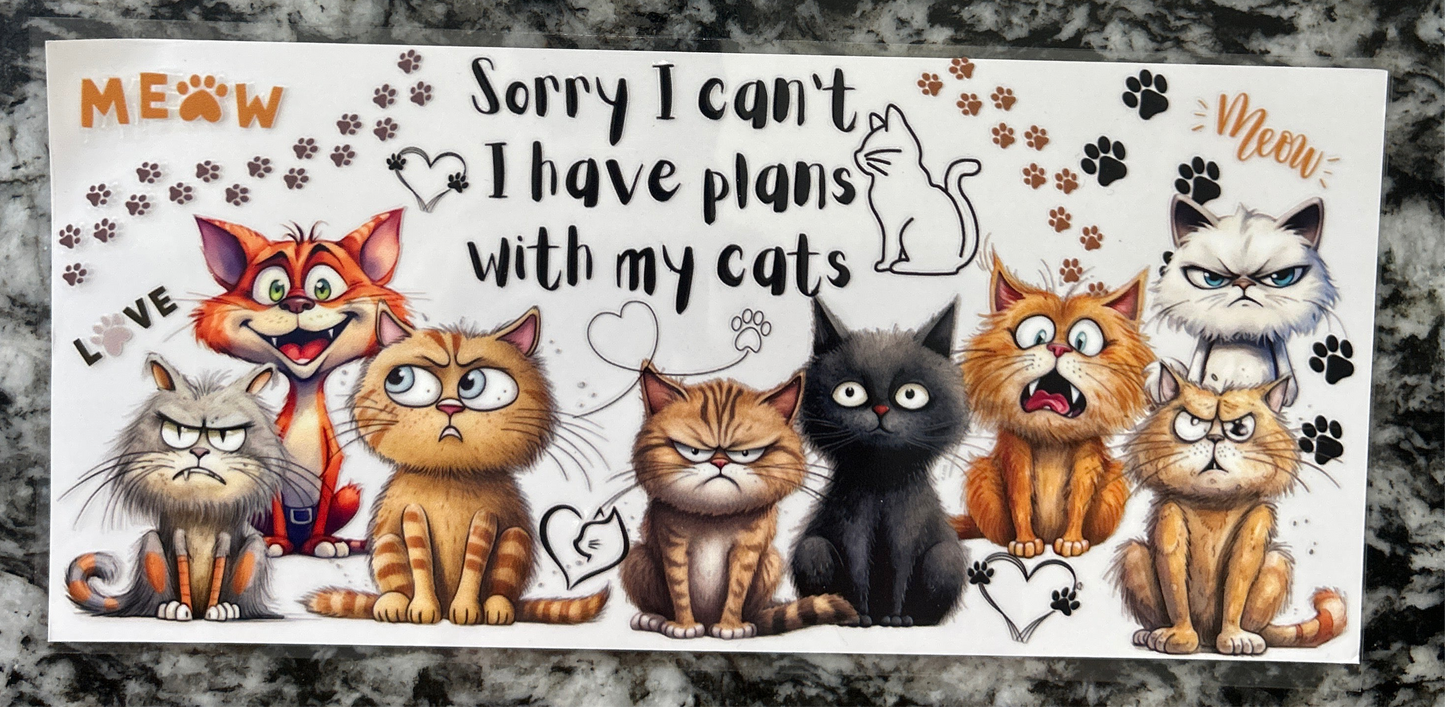 229 Cats wrap