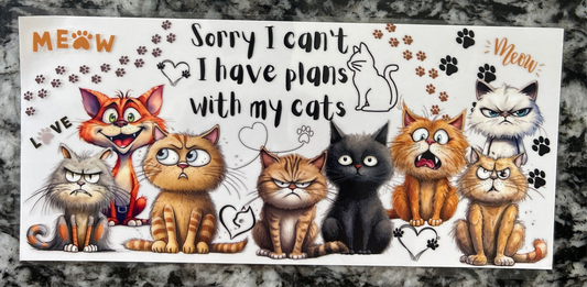 229 Cats wrap