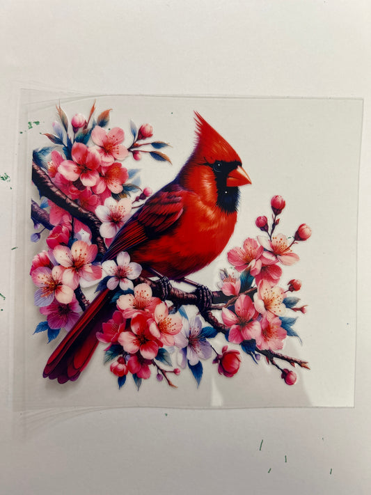 Red Cardinal