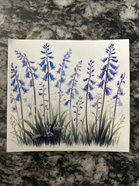 Flowers 17