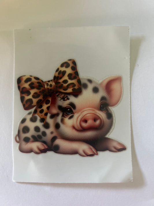 Pig 5