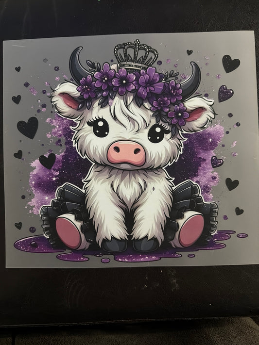 Cows Transfer