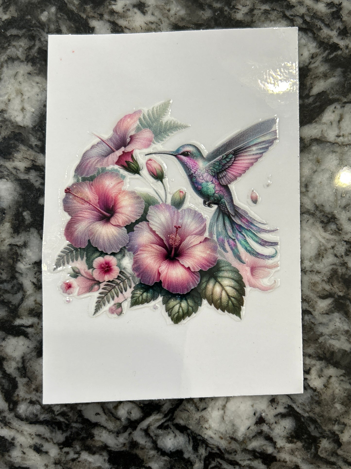 Hummingbird 3