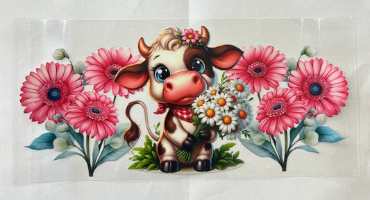 471 Cows wrap