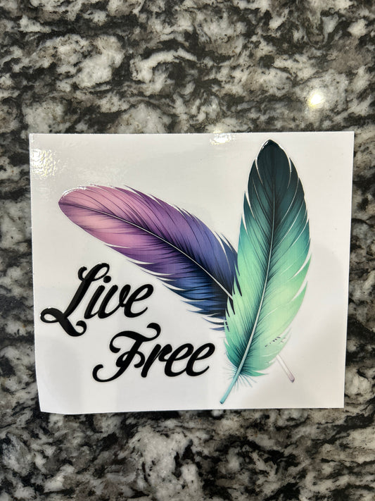 Feathers 11