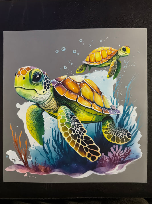 30 Turtle Transfer