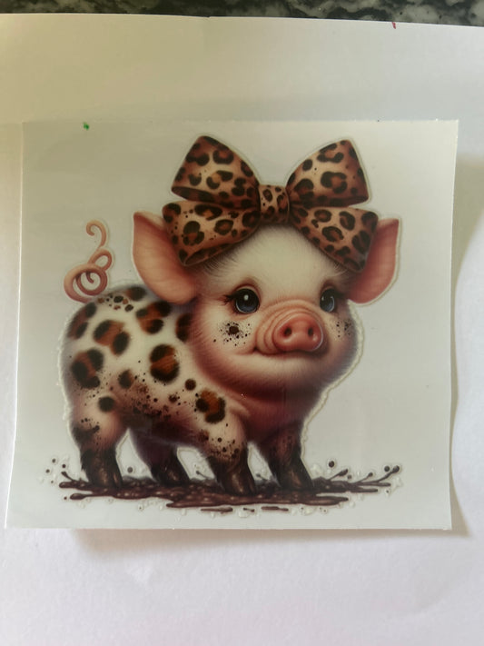 Pig 8