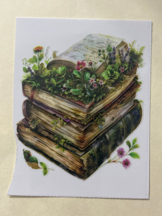 Books 7