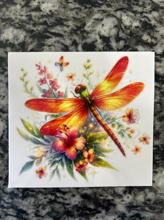 Dragonfly 10