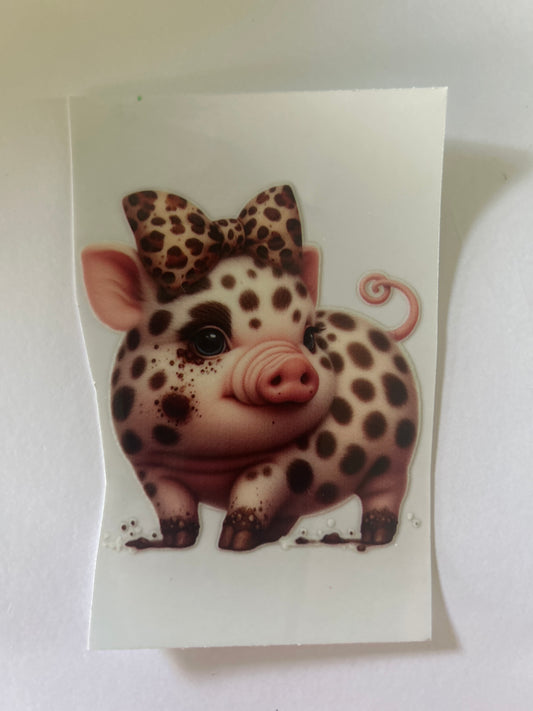 Pig 4