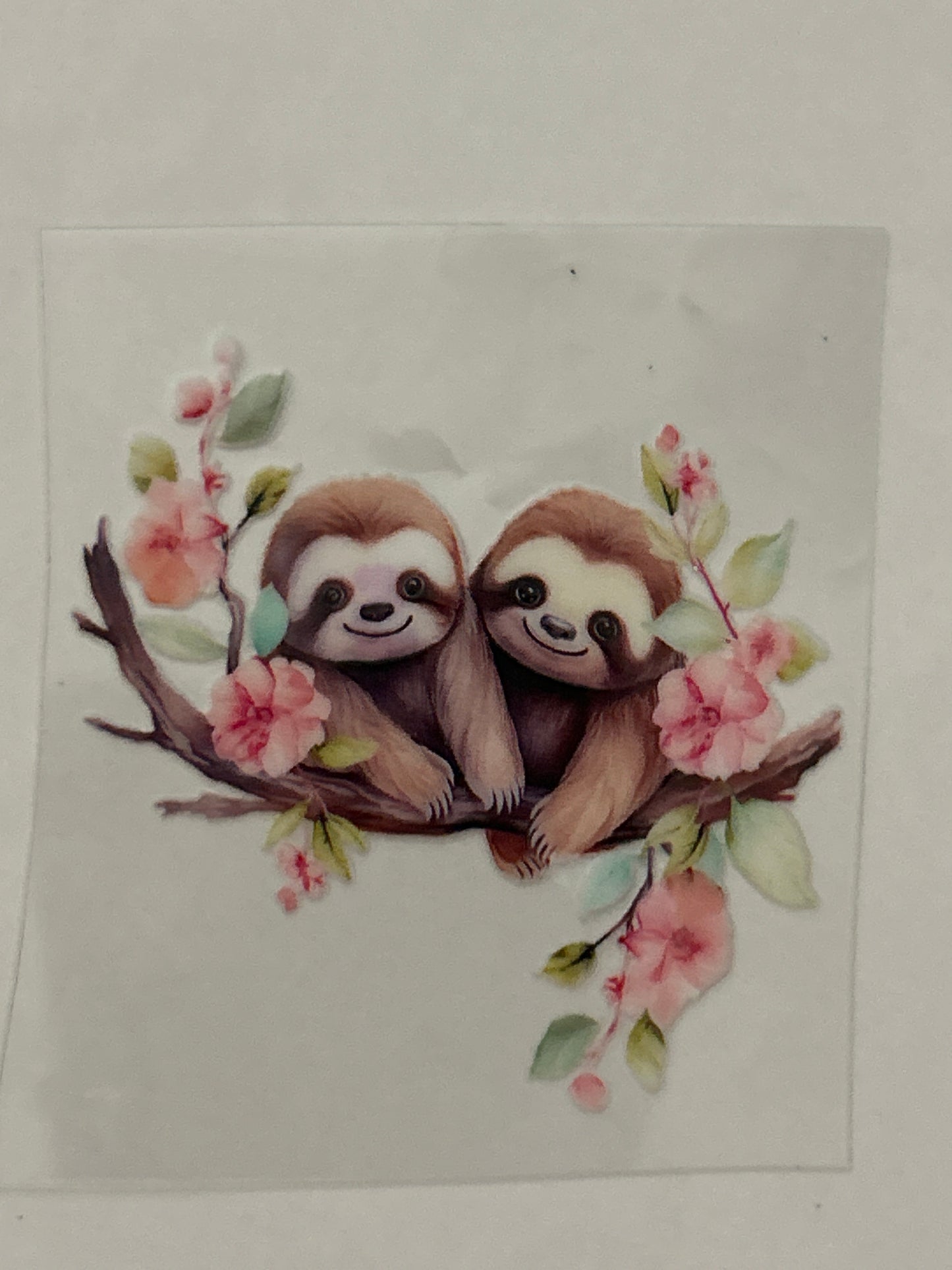 Sloth 5